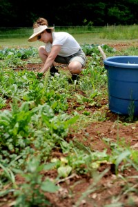 gardening