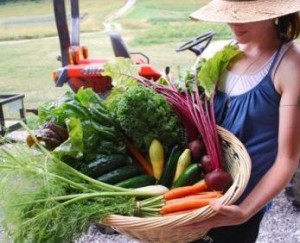 woman holding produce basket