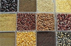 Cover photo for Small Farms Week Food Drive