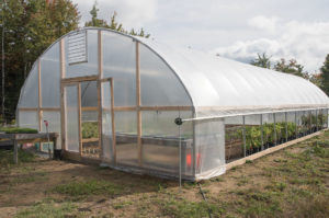 high tunnel greenhouse 