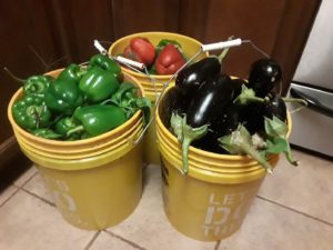 buckets of produce