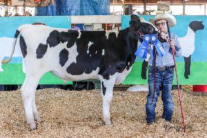 boy with calf