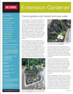 Cover photo for 2020 Winter Extension Gardener Newsletter Available Now!
