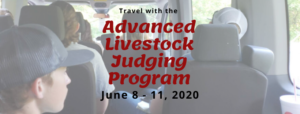 Cover photo for Advanced Livestock Judging Registration