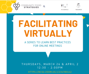 Faciitating Virtually