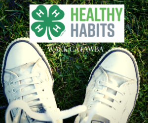 Healthy Habits