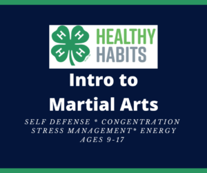 Intro to Martial Arts