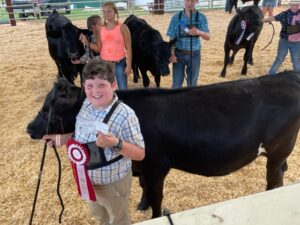 Cover photo for 4-H Calf-Steer Project