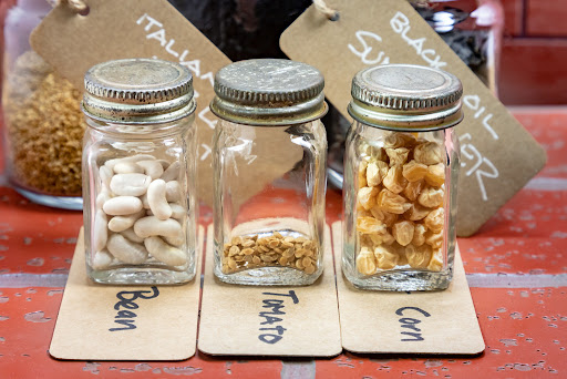 Seeds in jars.