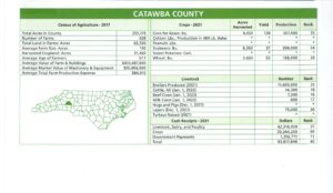 Cover photo for Updated Census of Catawba County Agriculture