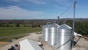 Cover photo for What Do We Know About Wheat Buyers in NC?