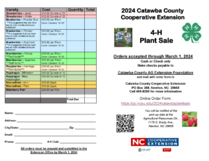 Cover photo for 2024 4-H Plant Sale