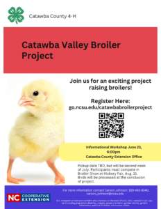 Cover photo for 2025 Broiler Chicken Project