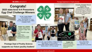 egg chef challenge collage