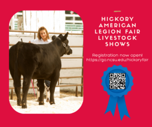 Cover photo for Hickory American Legion Fair Livestock Shows
